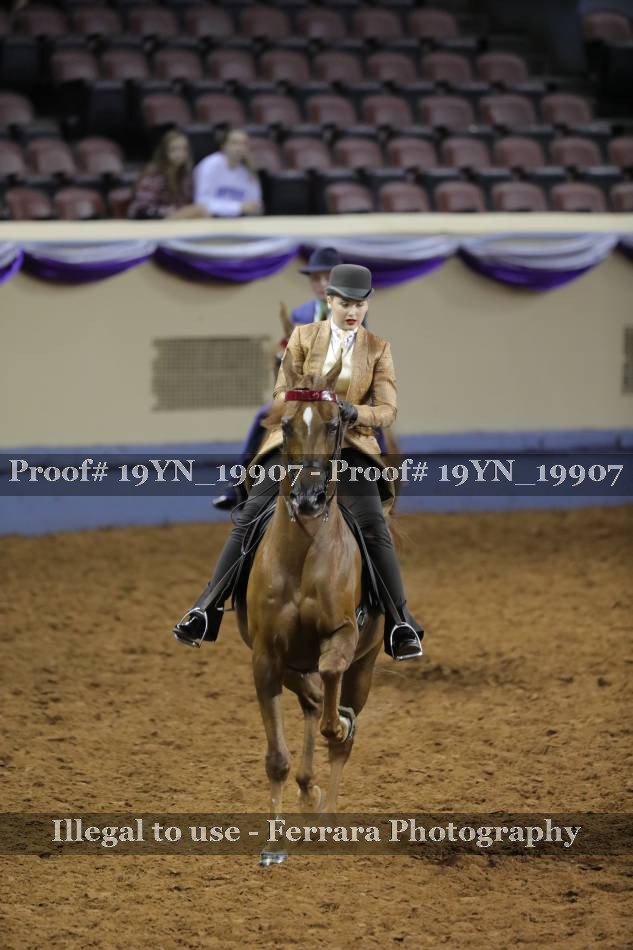 Proof 19YN_19907