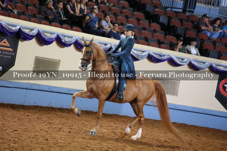 Proof 19YN_19915