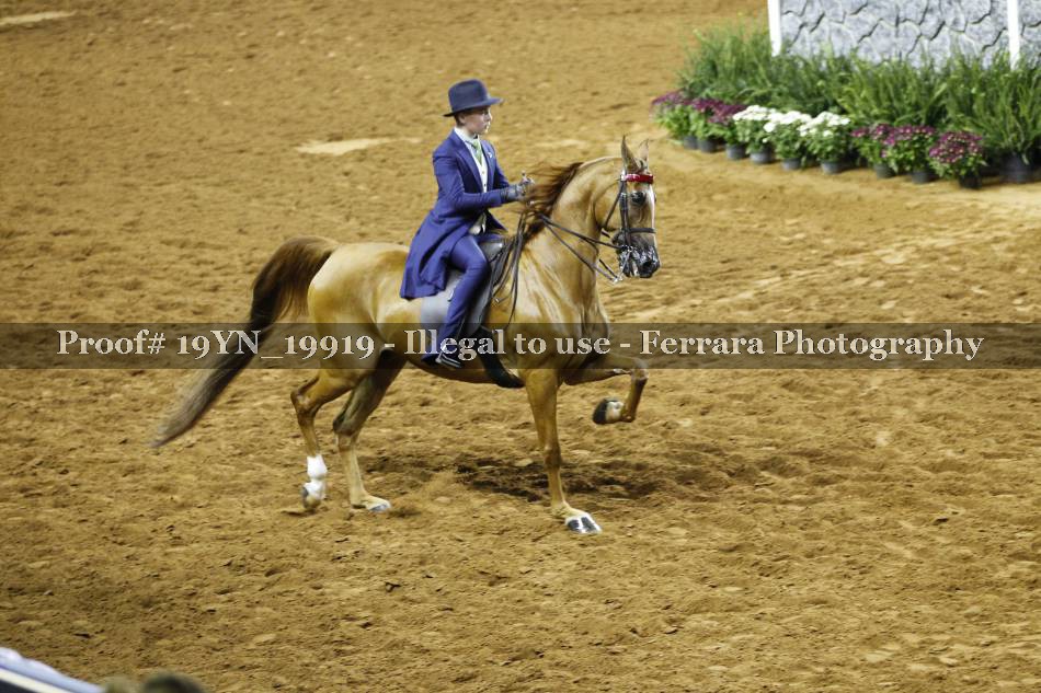 Proof 19YN_19919
