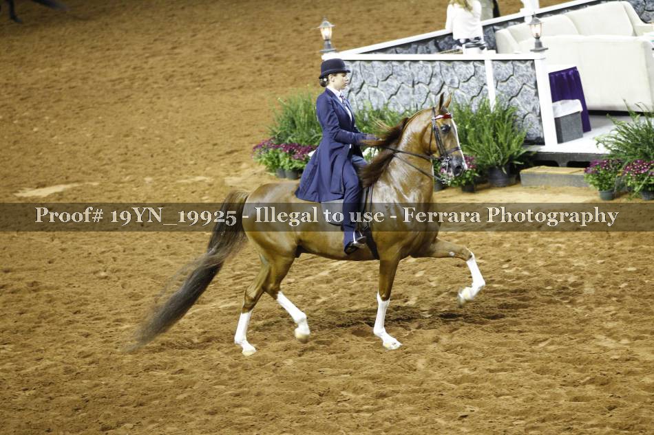 Proof 19YN_19925