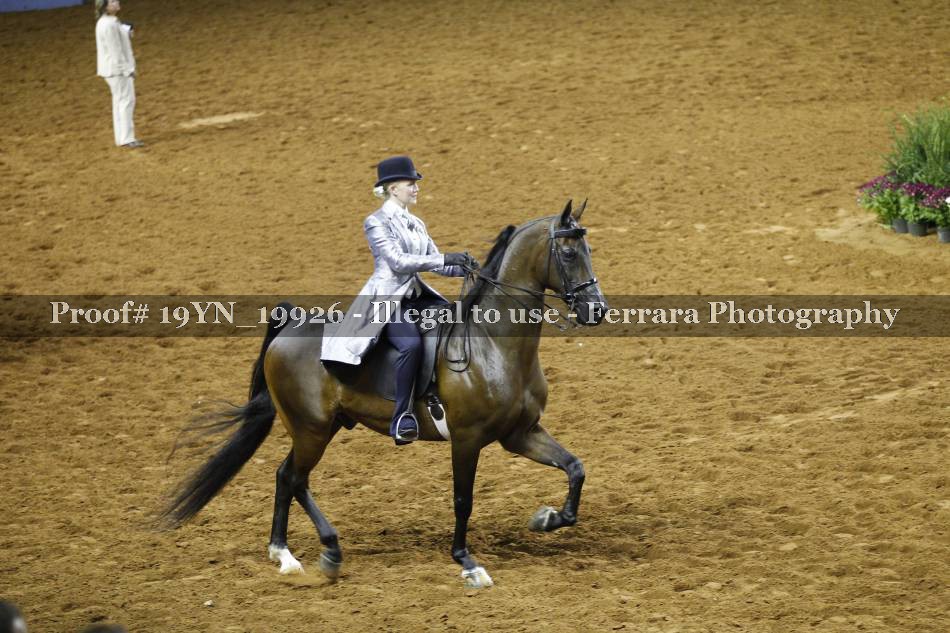 Proof 19YN_19926