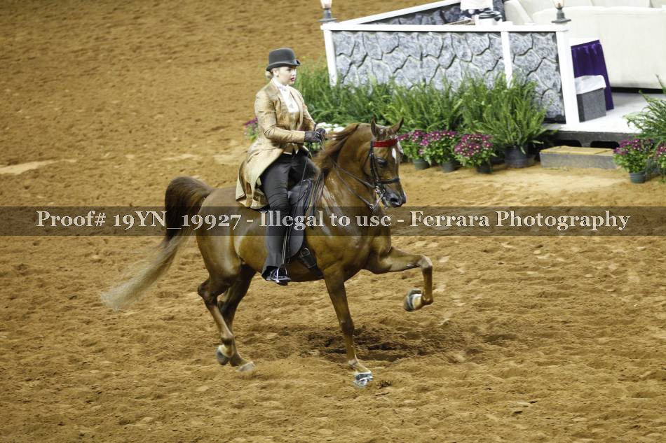 Proof 19YN_19927