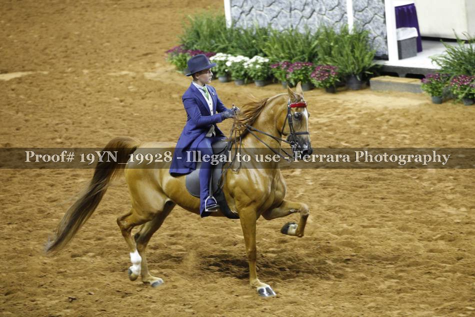 Proof 19YN_19928