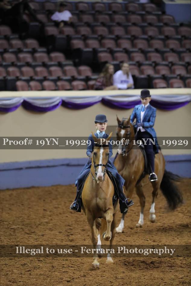 Proof 19YN_19929