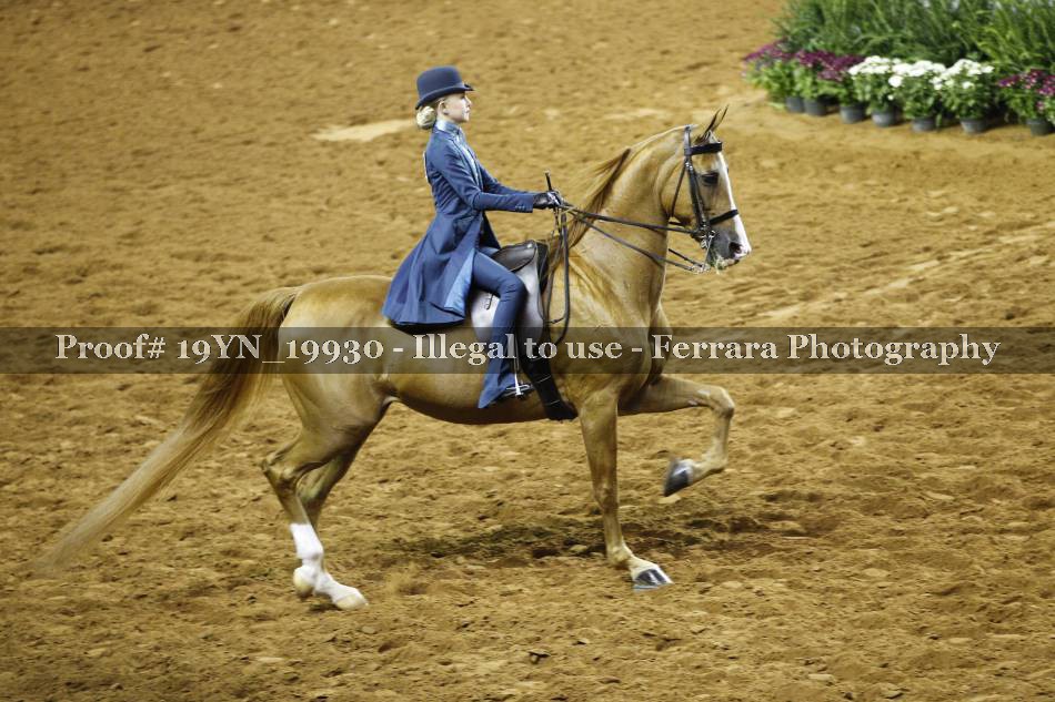 Proof 19YN_19930