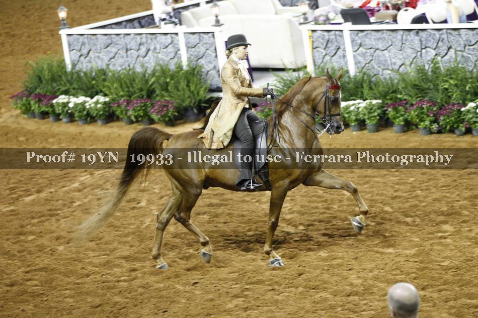 Proof 19YN_19933
