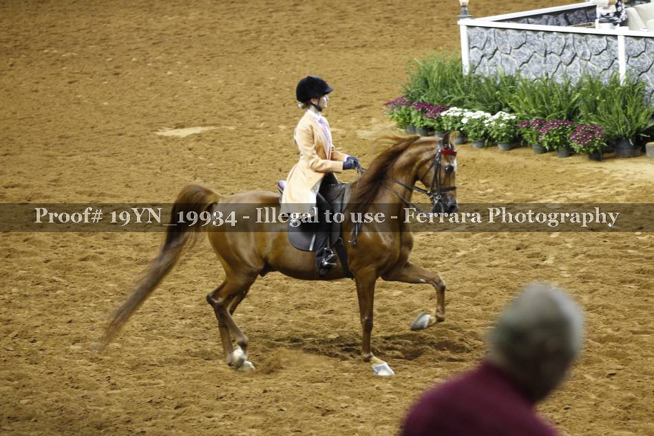 Proof 19YN_19934