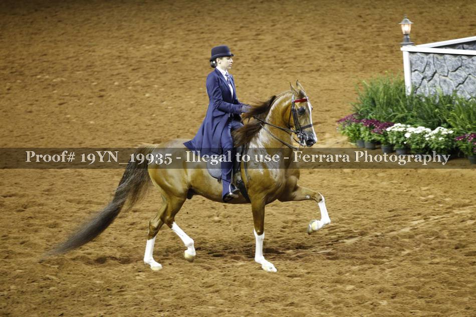 Proof 19YN_19935