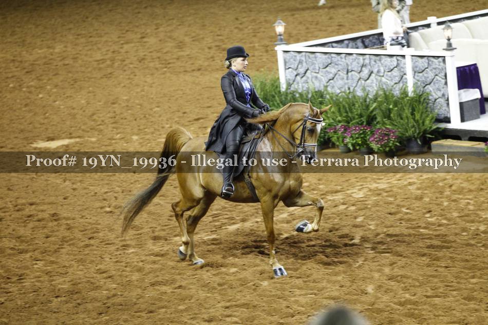 Proof 19YN_19936