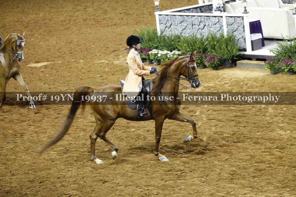 Proof 19YN_19937