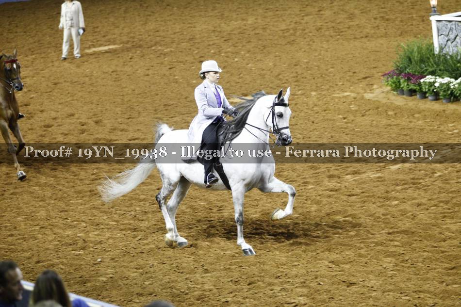 Proof 19YN_19938