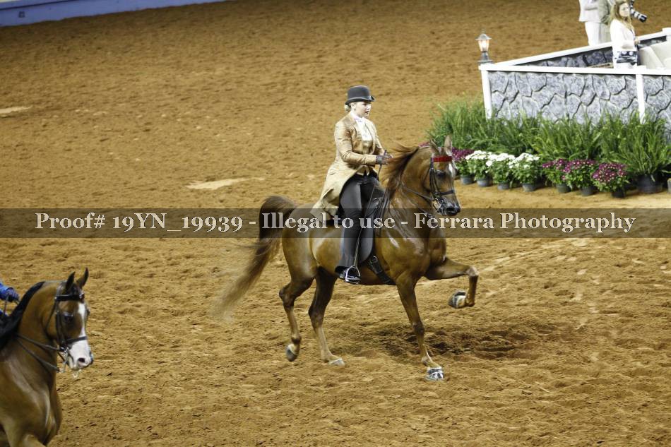 Proof 19YN_19939