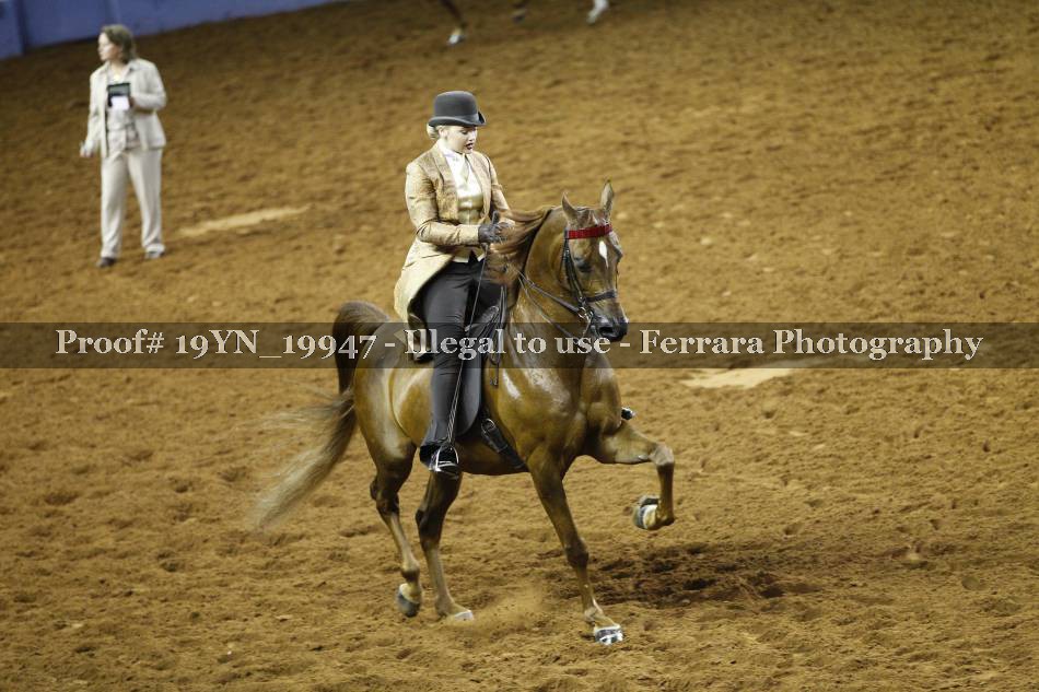 Proof 19YN_19947