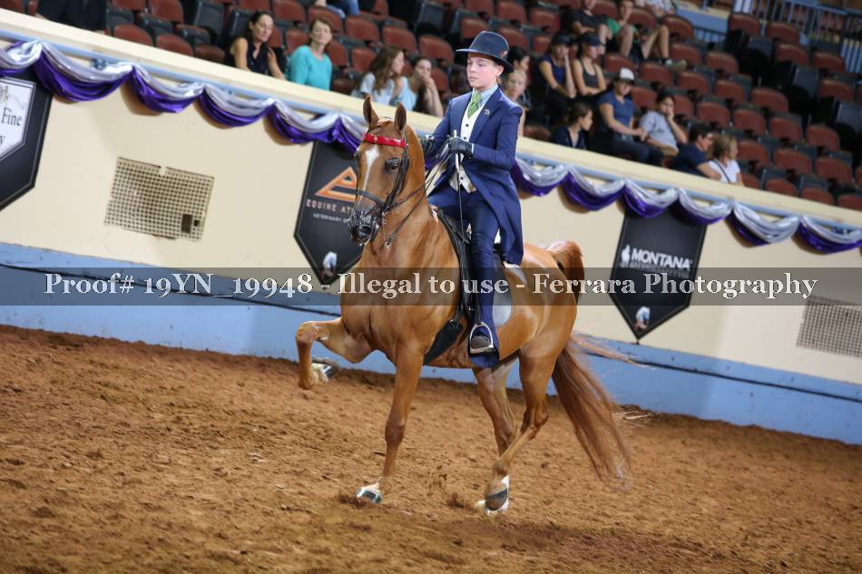 Proof 19YN_19948