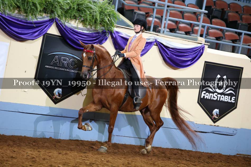 Proof 19YN_19950