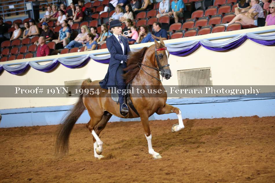 Proof 19YN_19954