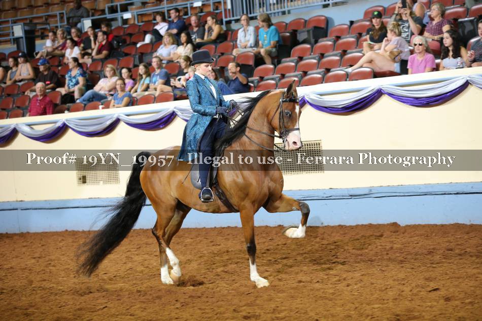 Proof 19YN_19957