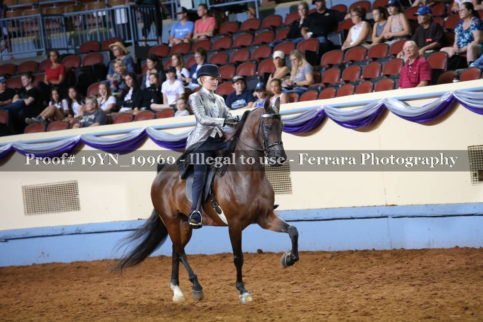 Proof 19YN_19960