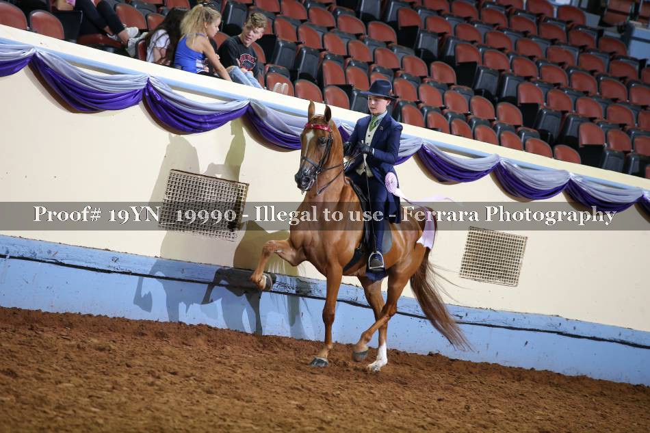 Proof 19YN_19990
