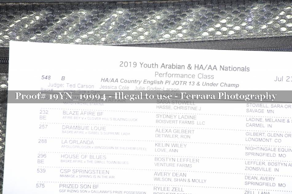 Proof 19YN_19994