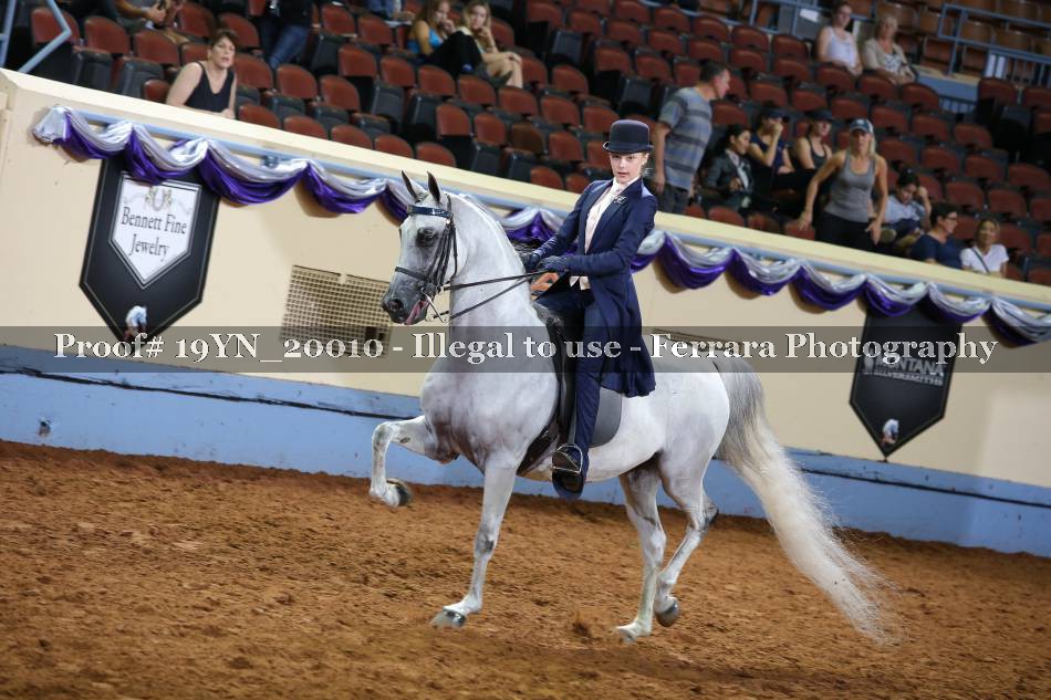 Proof 19YN_20010