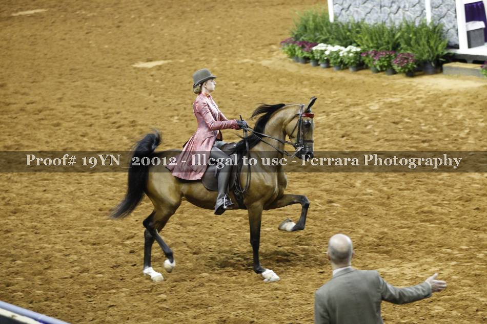 Proof 19YN_20012