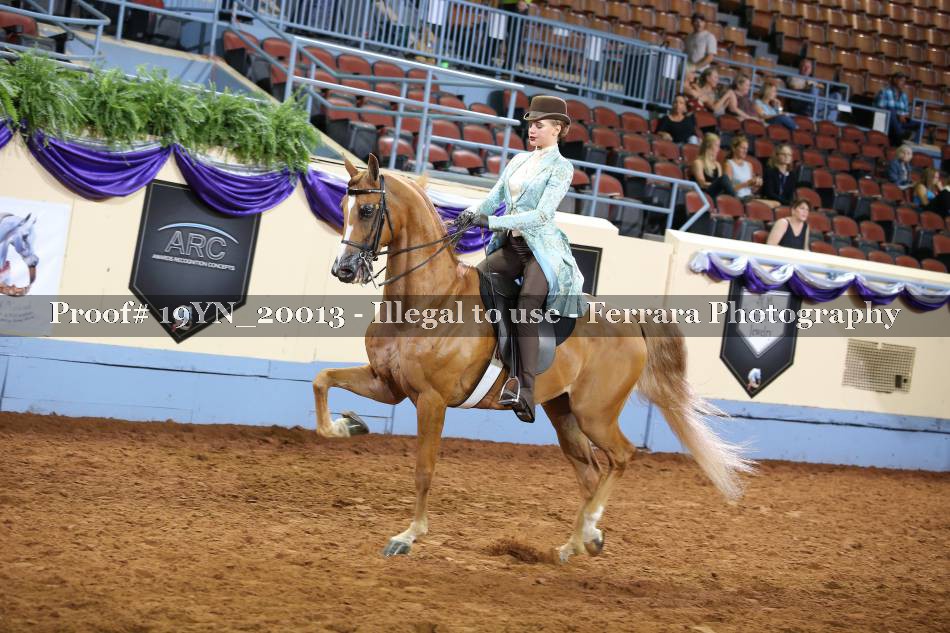 Proof 19YN_20013