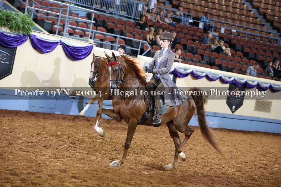 Proof 19YN_20014