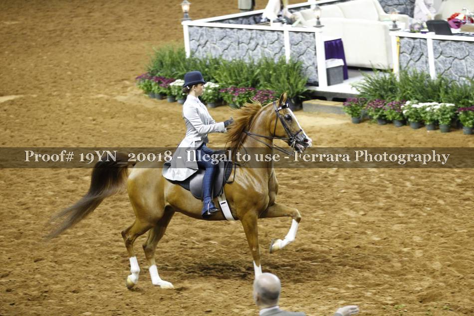 Proof 19YN_20018