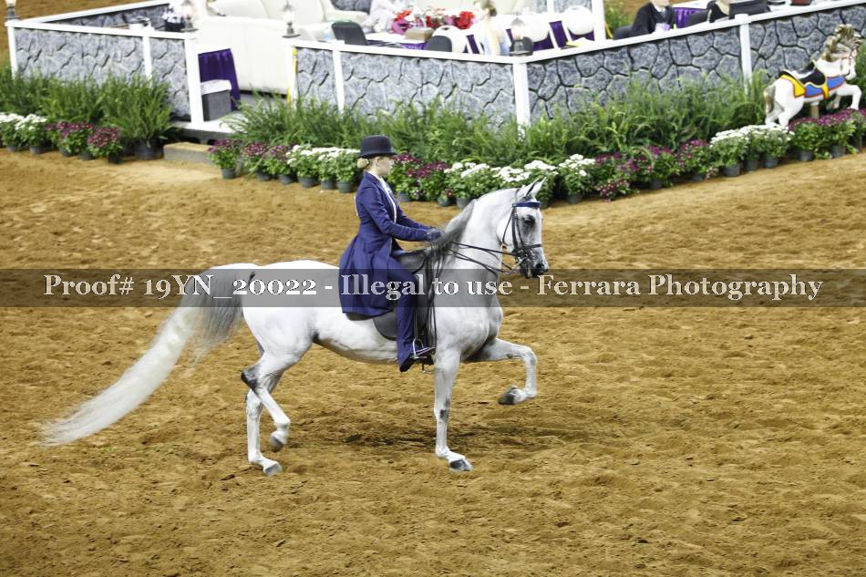 Proof 19YN_20022