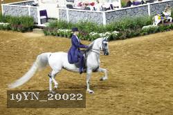 19YN_20022 proof
