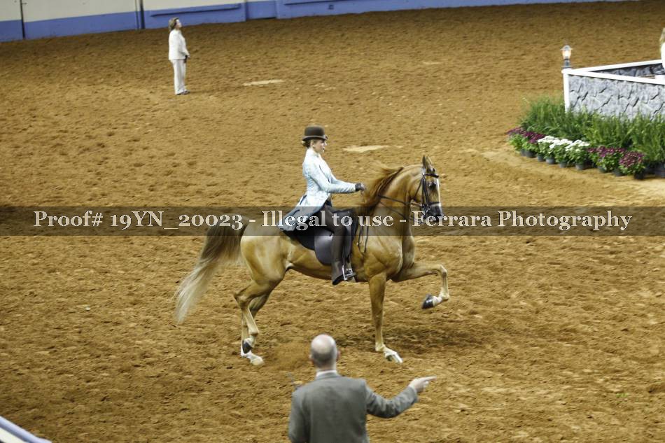 Proof 19YN_20023