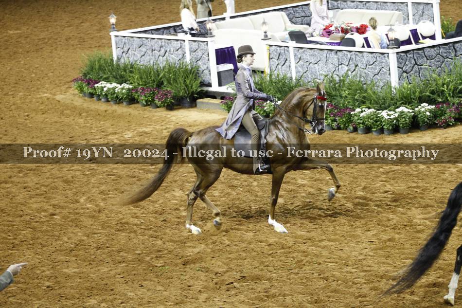 Proof 19YN_20024