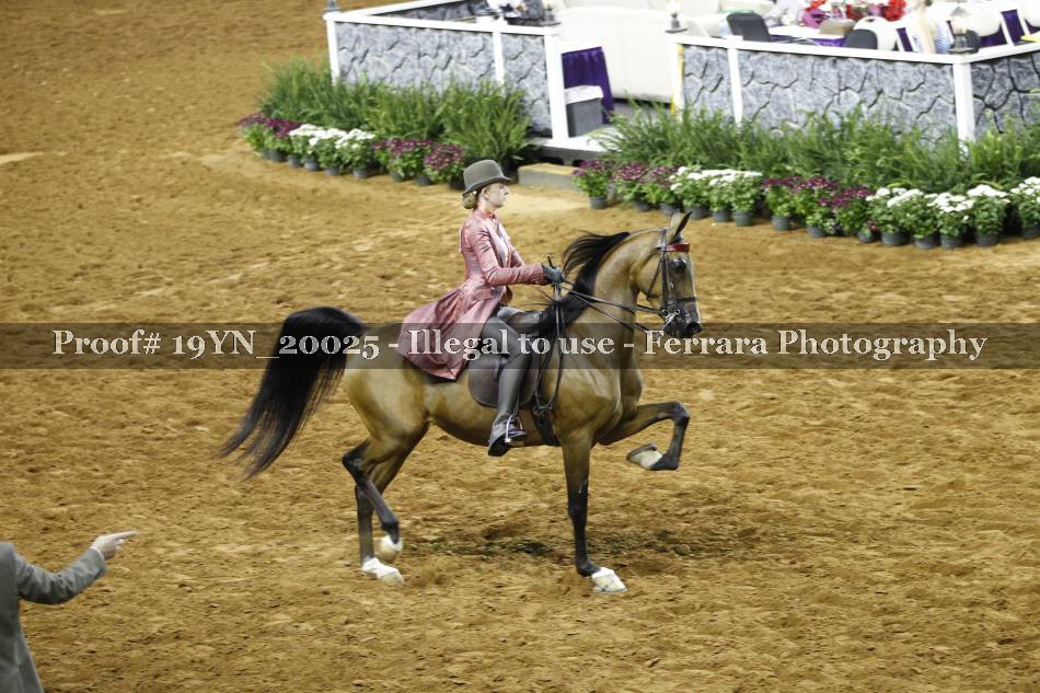Proof 19YN_20025