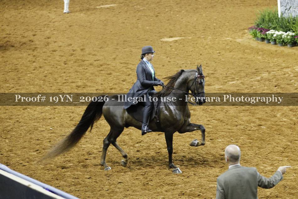 Proof 19YN_20026