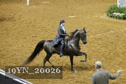 19YN_20026 proof