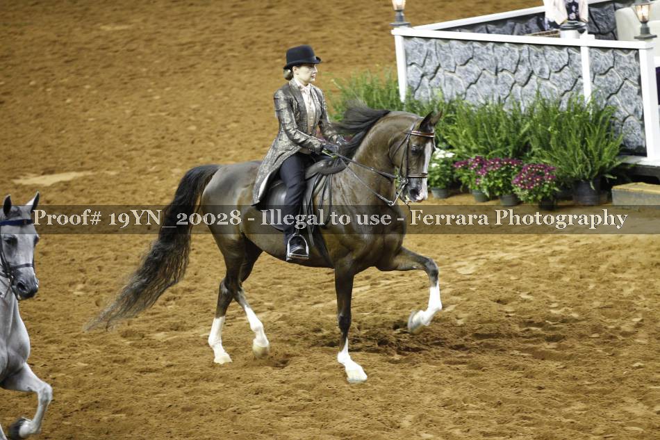 Proof 19YN_20028