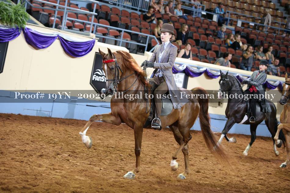 Proof 19YN_20029