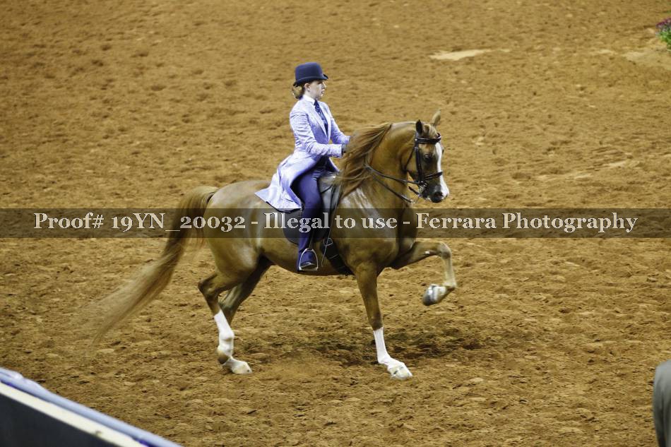 Proof 19YN_20032