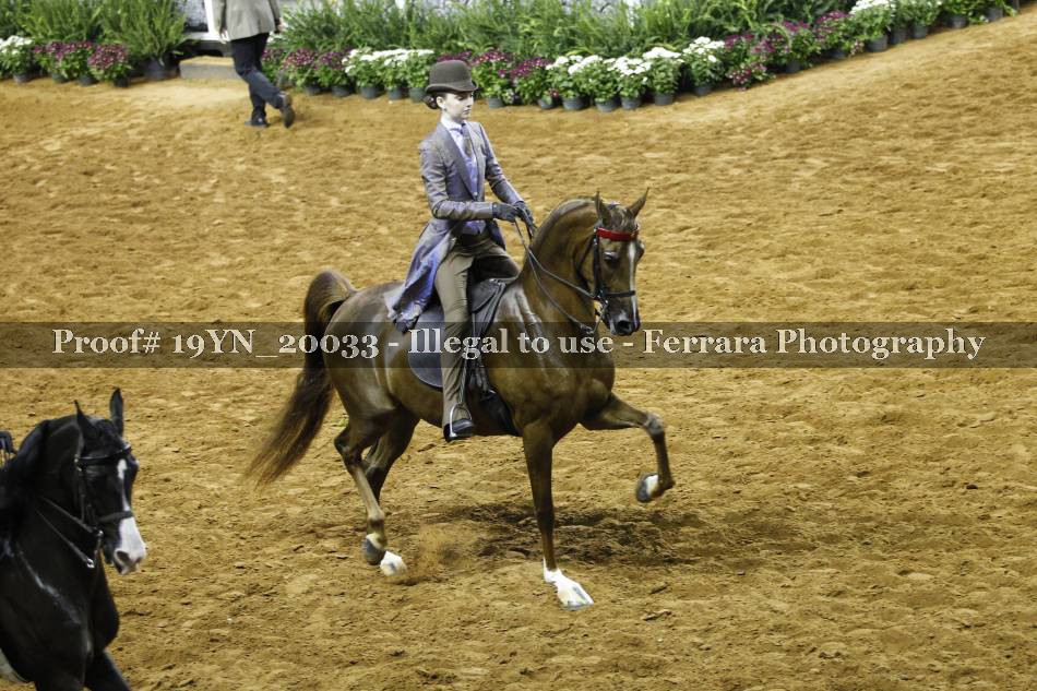 Proof 19YN_20033
