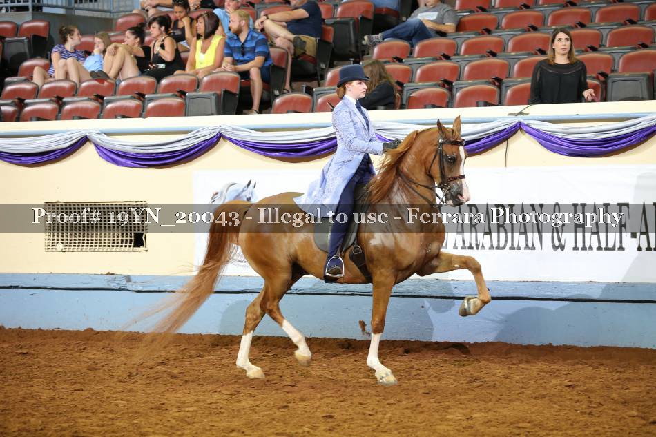 Proof 19YN_20043