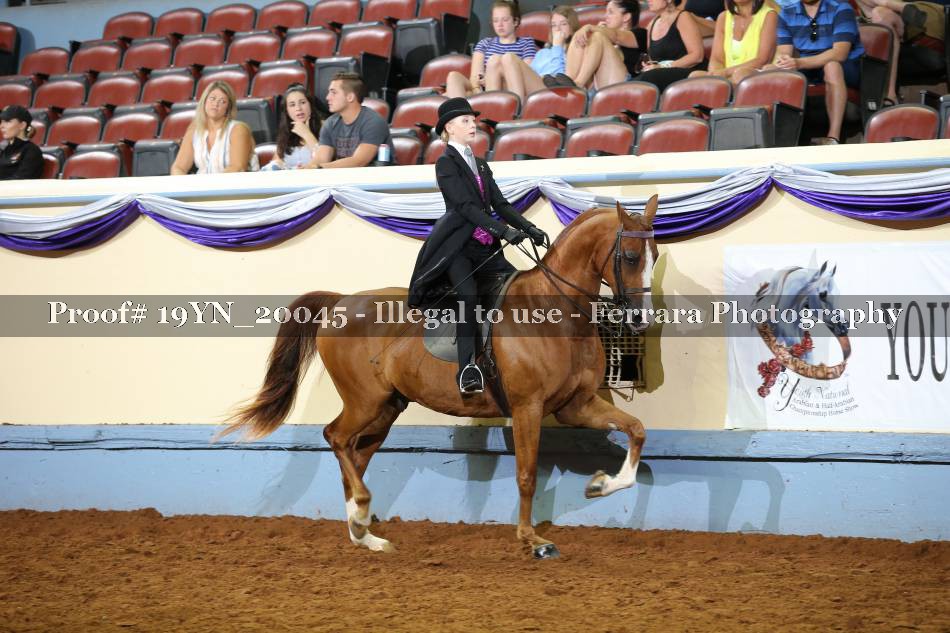Proof 19YN_20045