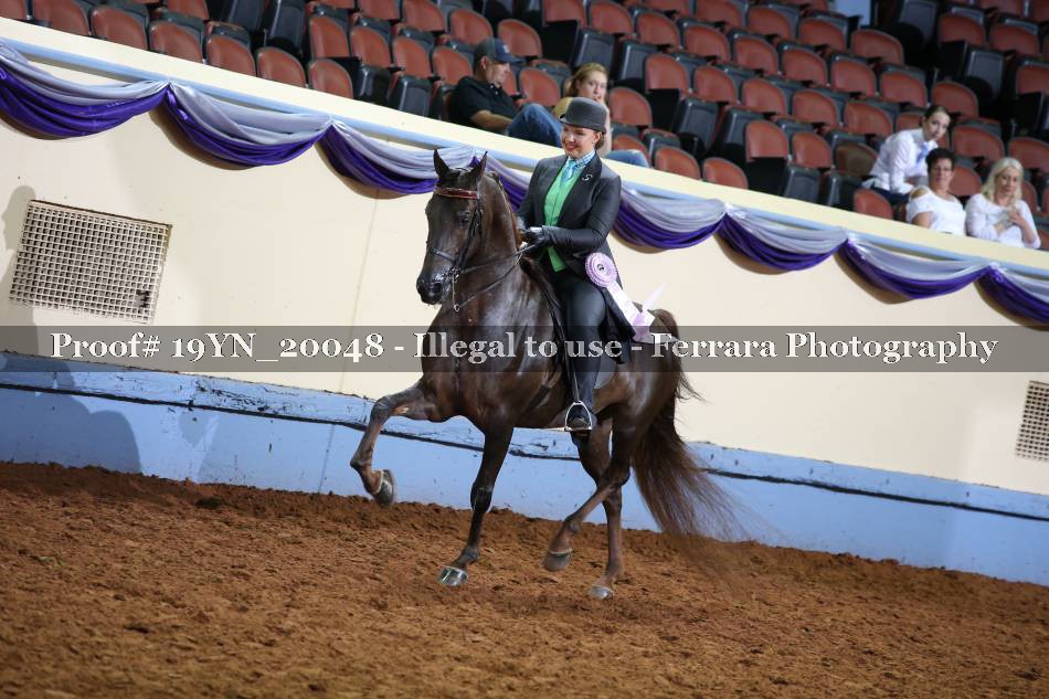 Proof 19YN_20048