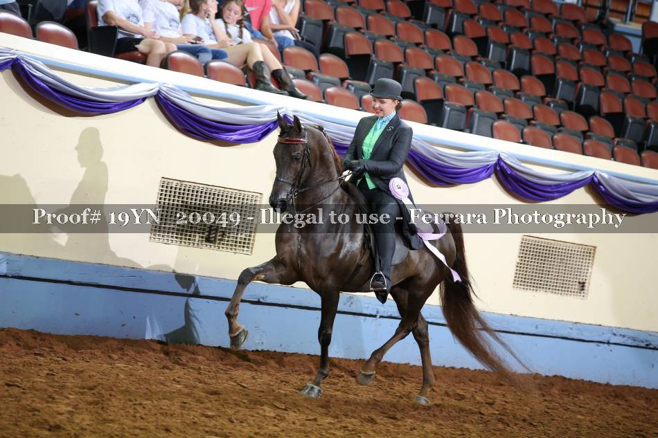 Proof 19YN_20049