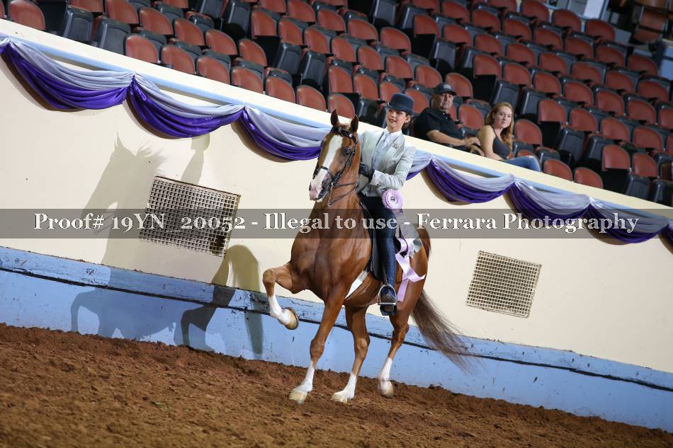 Proof 19YN_20052