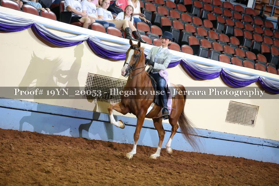 Proof 19YN_20053