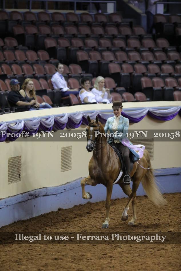 Proof 19YN_20058