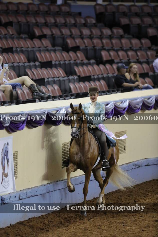 Proof 19YN_20060