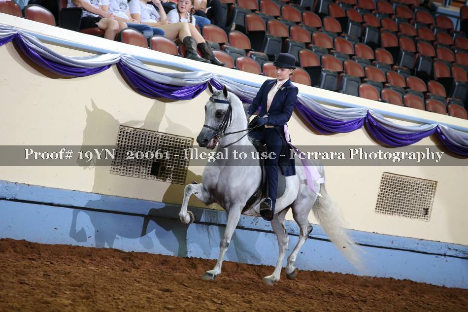 Proof 19YN_20061