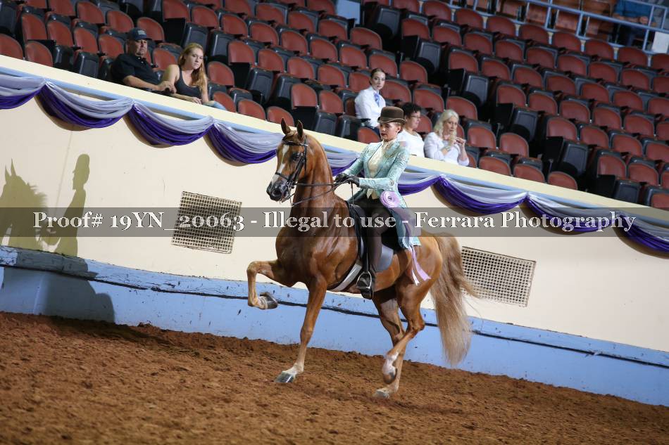 Proof 19YN_20063